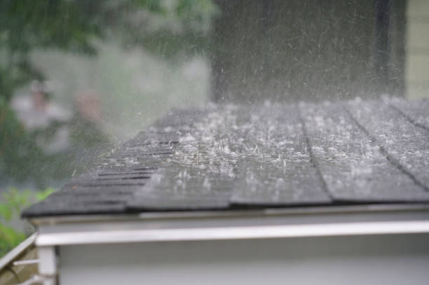 Best Roof Leak Repair  in Nashvle, IL